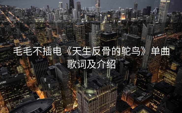毛毛不插电《天生反骨的鸵鸟》单曲歌词及介绍 毛毛不插电《天生反骨的鸵鸟》单曲歌词及介绍