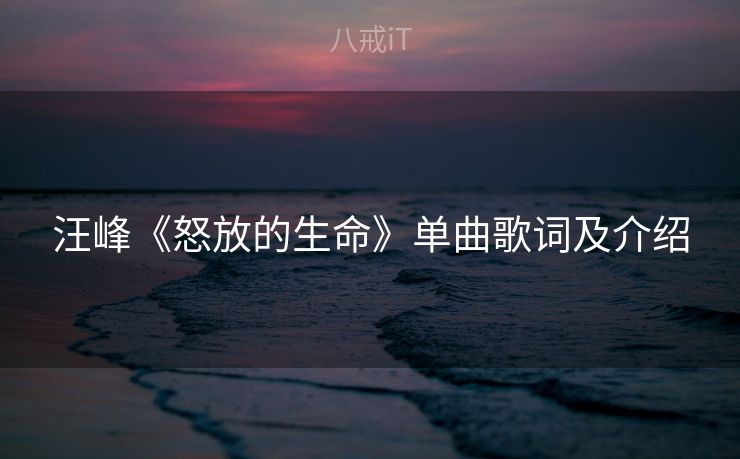 汪峰《怒放的生命》单曲歌词及介绍