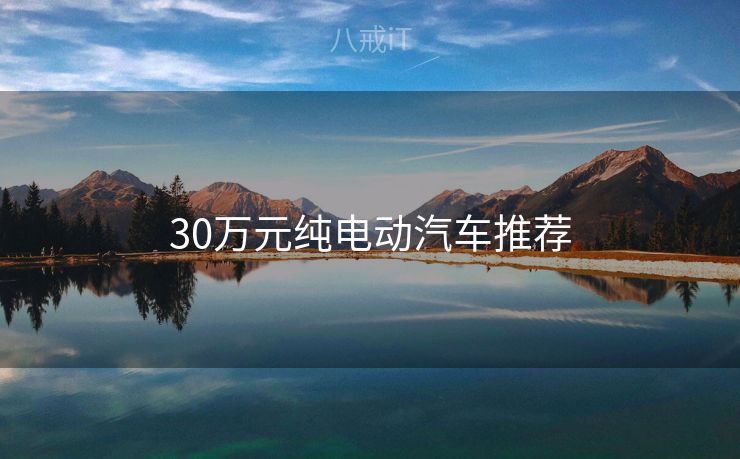30万元纯电动汽车推荐 30万元纯电动汽车推荐