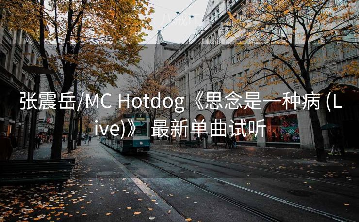 张震岳/MC Hotdog《思念是一种病 (Live)》 最新单曲试听