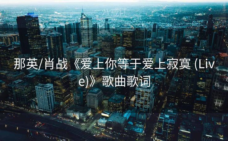那英/肖战《爱上你等于爱上寂寞 (Live)》歌曲歌词