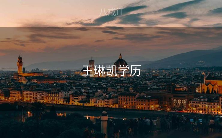 王琳凯学历 王琳凯学历