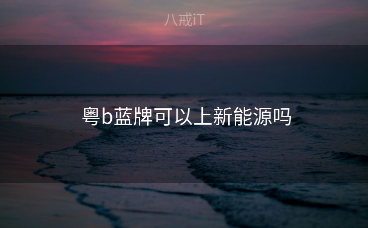  粤b蓝牌可以上新能源吗