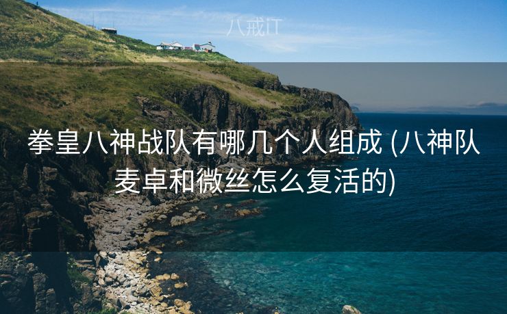 拳皇八神战队有哪几个人组成 (八神队麦卓和微丝怎么复活的)