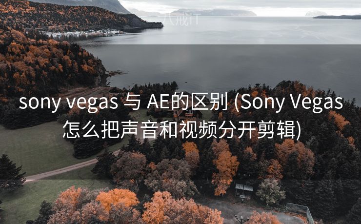 sony vegas 与 AE的区别 (Sony Vegas怎么把声音和视频分开剪辑) sony vegas 与 AE的区别 (Sony Vegas怎么把声音和视频分开剪辑)