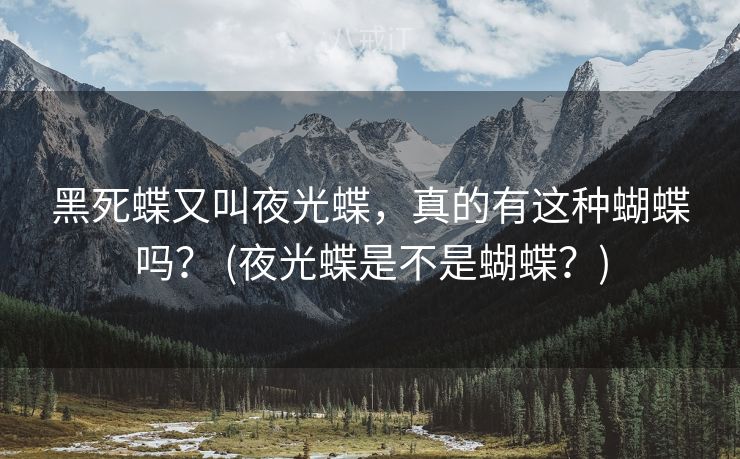 黑死蝶又叫夜光蝶，真的有这种蝴蝶吗？ (夜光蝶是不是蝴蝶？)