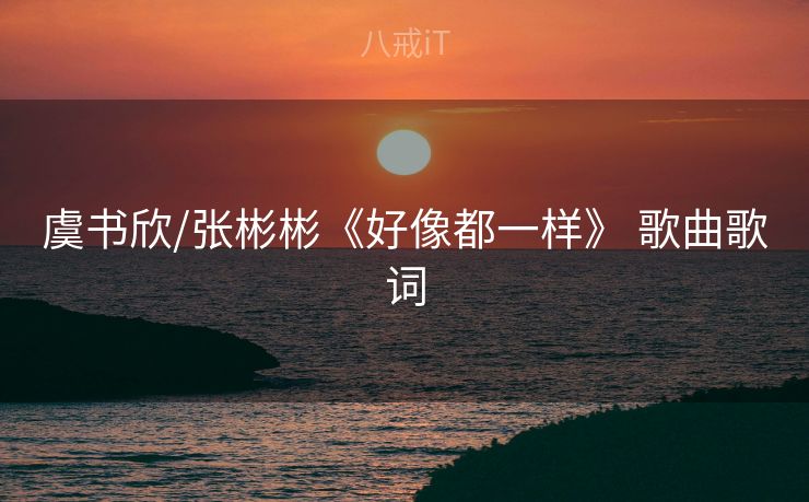 虞书欣/张彬彬《好像都一样》 歌曲歌词