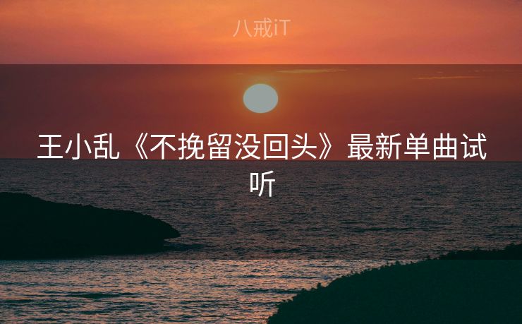王小乱《不挽留没回头》最新单曲试听