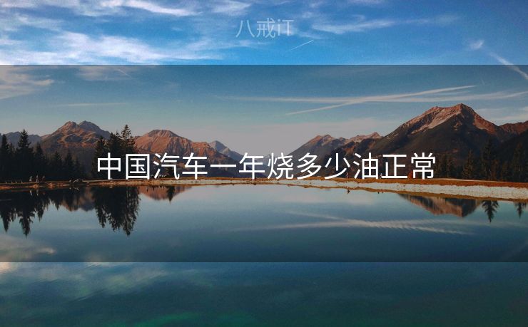 中国汽车一年烧多少油正常