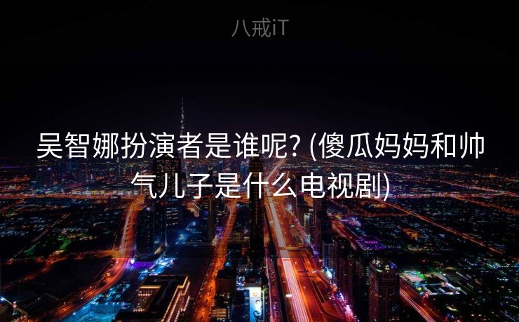 吴智娜扮演者是谁呢? (傻瓜妈妈和帅气儿子是什么电视剧)