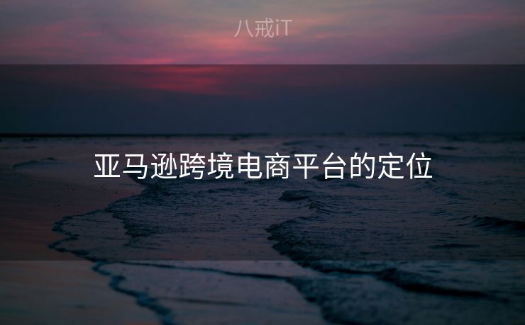 亚马逊跨境电商平台的定位