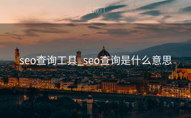 seo查询工具_seo查询是什么意思 seo查询工具_seo查询是什么意思