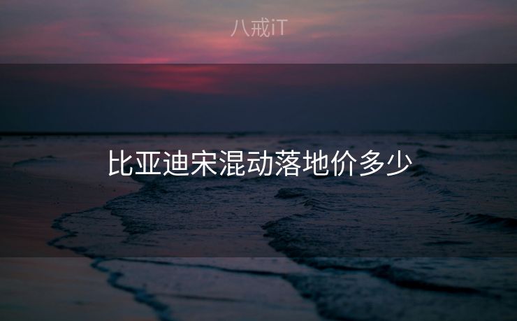比亚迪宋混动落地价多少