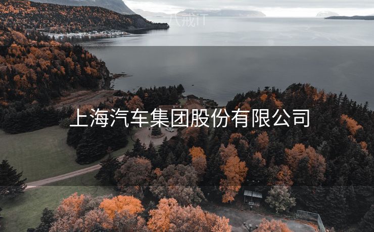  上海汽车集团股份有限公司