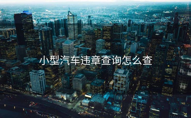 小型汽车违章查询怎么查 小型汽车违章查询怎么查