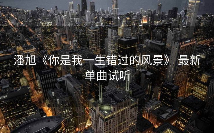 潘旭《你是我一生错过的风景》 最新单曲试听