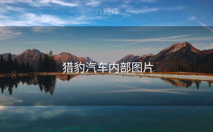 猎豹汽车内部图片 猎豹汽车内部图片