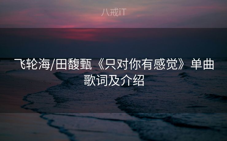 飞轮海/田馥甄《只对你有感觉》单曲歌词及介绍