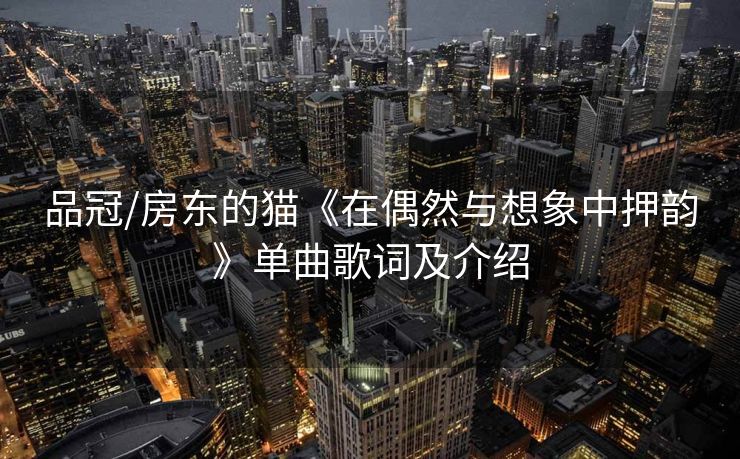 品冠/房东的猫《在偶然与想象中押韵》单曲歌词及介绍