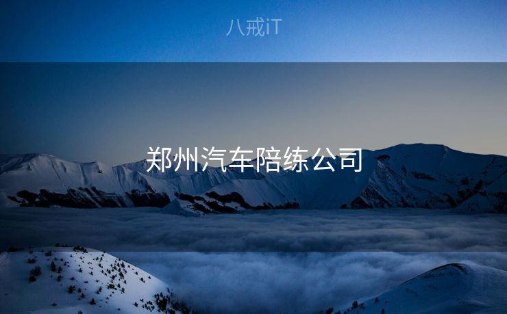 郑州汽车陪练公司