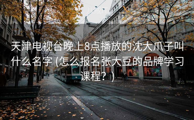 天津电视台晚上8点播放的沈大爪子叫什么名字 (怎么报名张大豆的品牌学习课程?) 天津电视台晚上8点播放的沈大爪子叫什么名字 (怎么报名张大豆的品牌学习课程?)