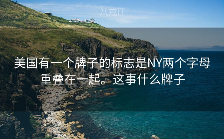美国有一个牌子的标志是NY两个字母重叠在一起。这事什么牌子