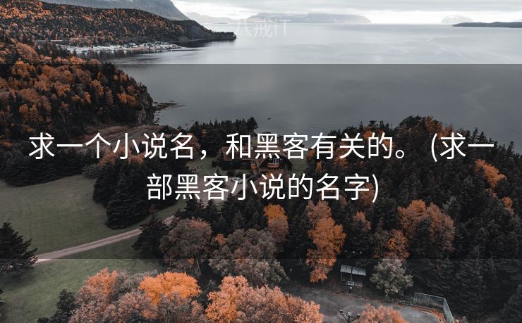 求一个小说名，和黑客有关的。 (求一部黑客小说的名字)