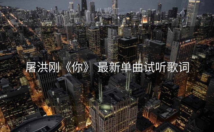 屠洪刚《你》 最新单曲试听歌词