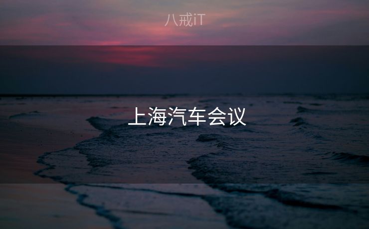  上海汽车会议