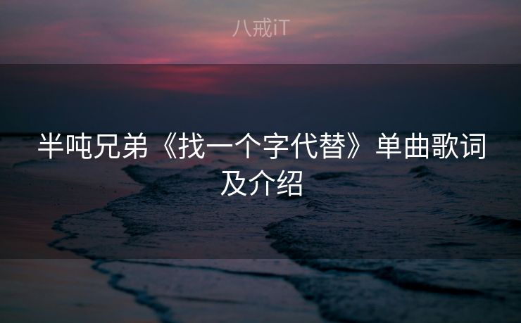 半吨兄弟《找一个字代替》单曲歌词及介绍