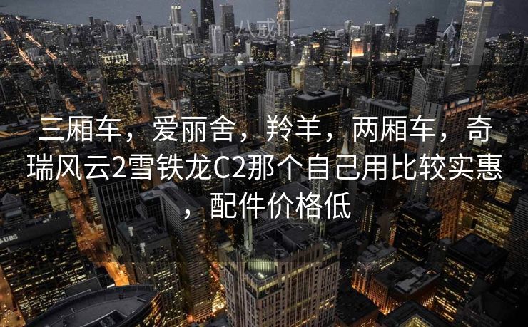 三厢车，爱丽舍，羚羊，两厢车，奇瑞风云2雪铁龙C2那个自己用比较实惠，配件价格低