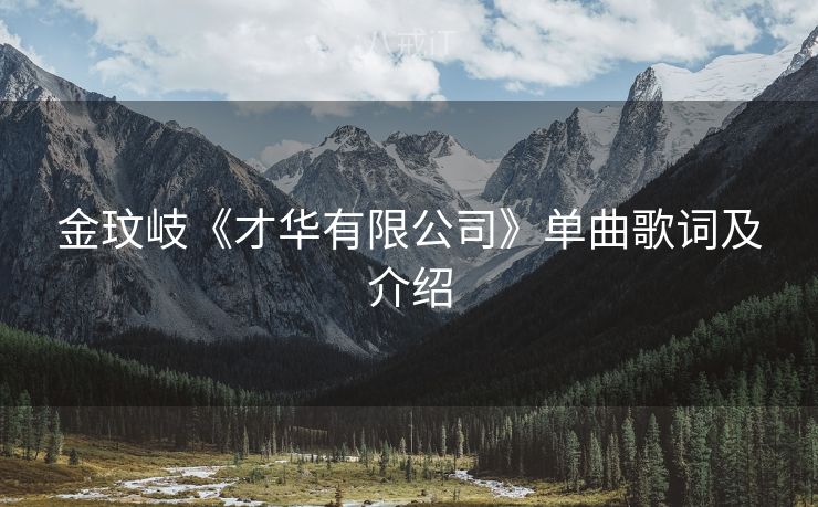 金玟岐《才华有限公司》单曲歌词及介绍