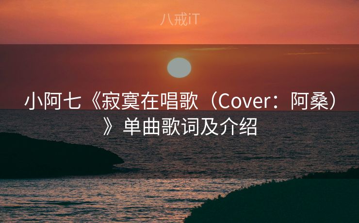 小阿七《寂寞在唱歌（Cover：阿桑）》单曲歌词及介绍