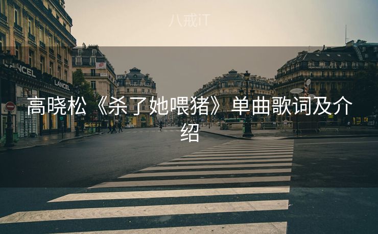 高晓松《杀了她喂猪》单曲歌词及介绍 高晓松《杀了她喂猪》单曲歌词及介绍