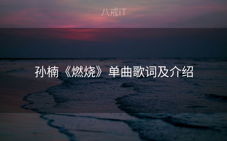 孙楠《燃烧》单曲歌词及介绍