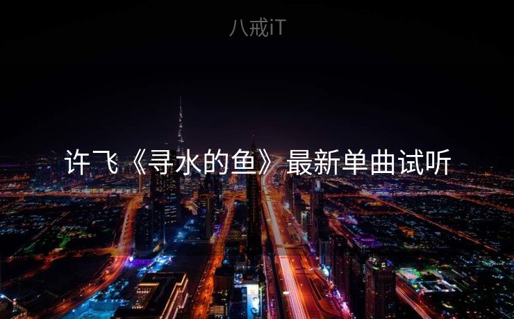 许飞《寻水的鱼》最新单曲试听
