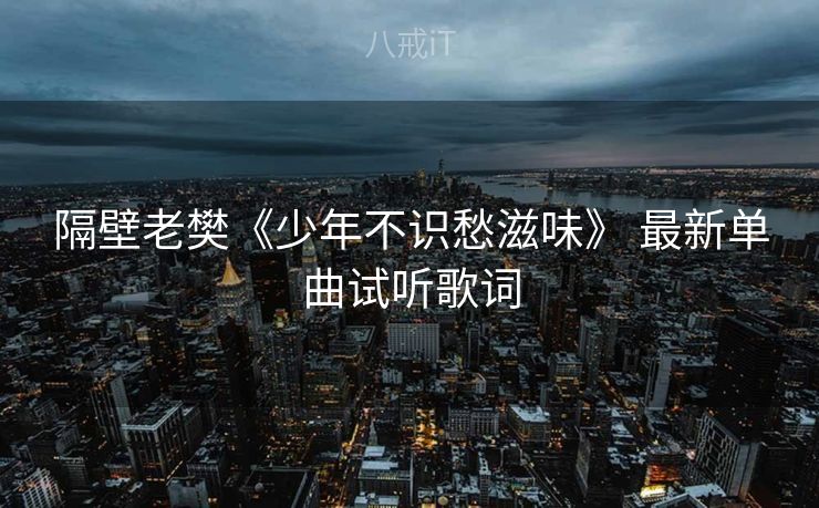 隔壁老樊《少年不识愁滋味》 最新单曲试听歌词 隔壁老樊《少年不识愁滋味》 最新单曲试听歌词