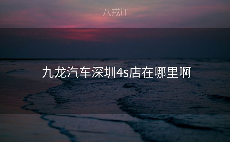  九龙汽车深圳4s店在哪里啊