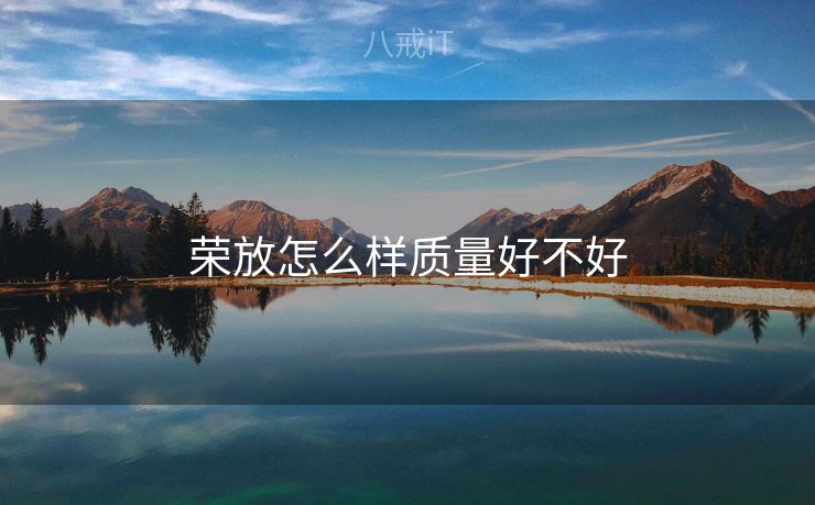 荣放怎么样质量好不好