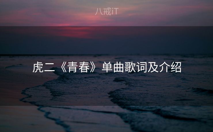 虎二《青春》单曲歌词及介绍