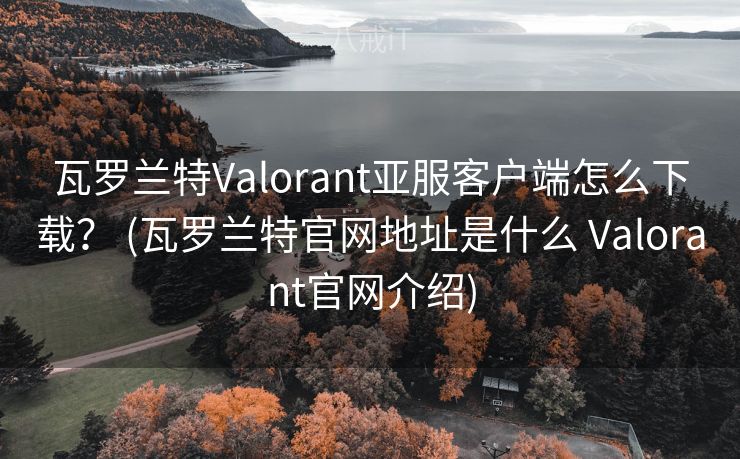 瓦罗兰特Valorant亚服客户端怎么下载？ (瓦罗兰特官网地址是什么 Valorant官网介绍)