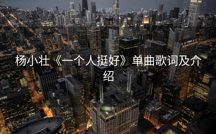 杨小壮《一个人挺好》单曲歌词及介绍