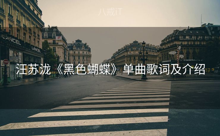 汪苏泷《黑色蝴蝶》单曲歌词及介绍