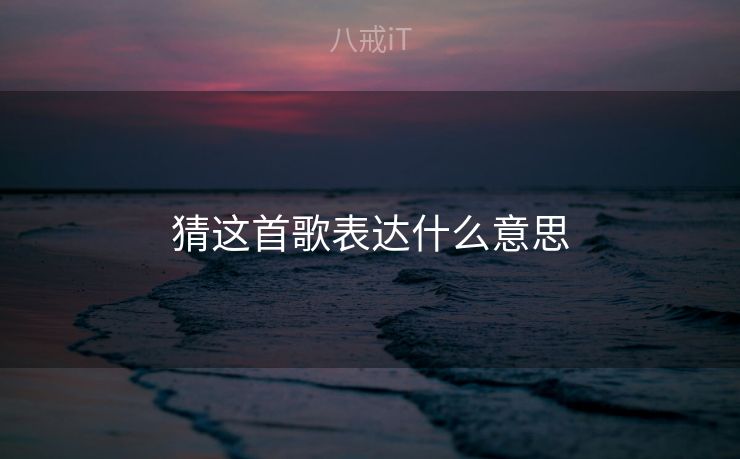 猜这首歌表达什么意思 猜这首歌表达什么意思