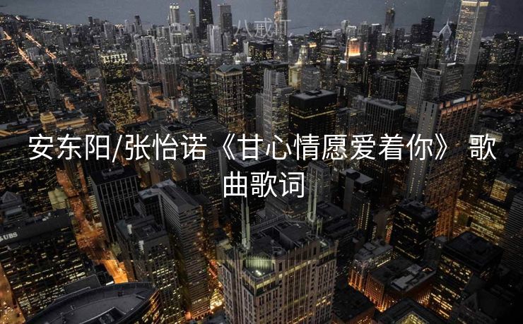 安东阳/张怡诺《甘心情愿爱着你》 歌曲歌词