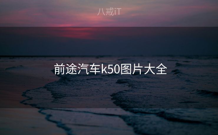  前途汽车k50图片大全