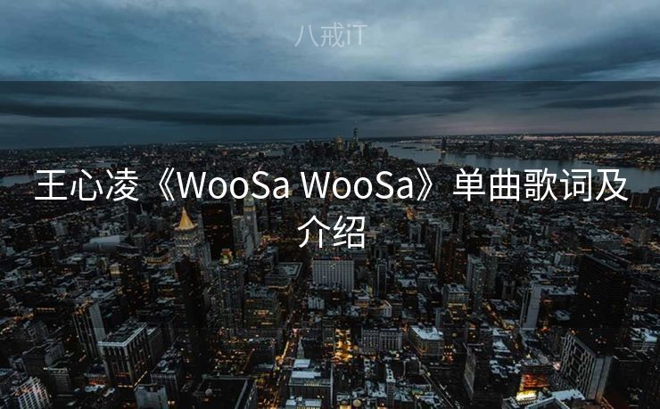 王心凌《WooSa WooSa》单曲歌词及介绍