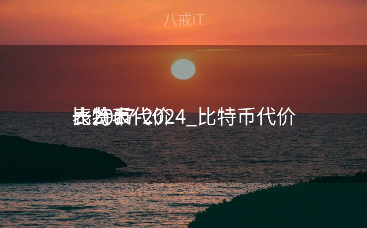 比特币代价
表2017-2024_比特币代价
一览表