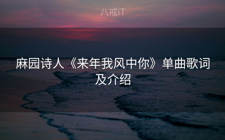 麻园诗人《来年我风中你》单曲歌词及介绍