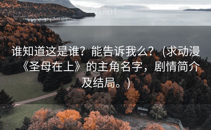 谁知道这是谁？能告诉我么？ (求动漫《圣母在上》的主角名字，剧情简介及结局。)